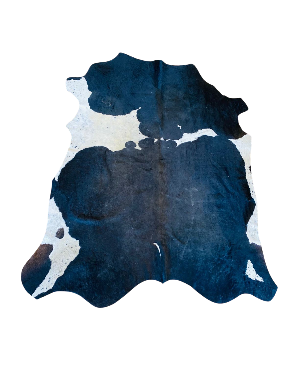Nguni Black and White Cow Hide Rug the hide shop