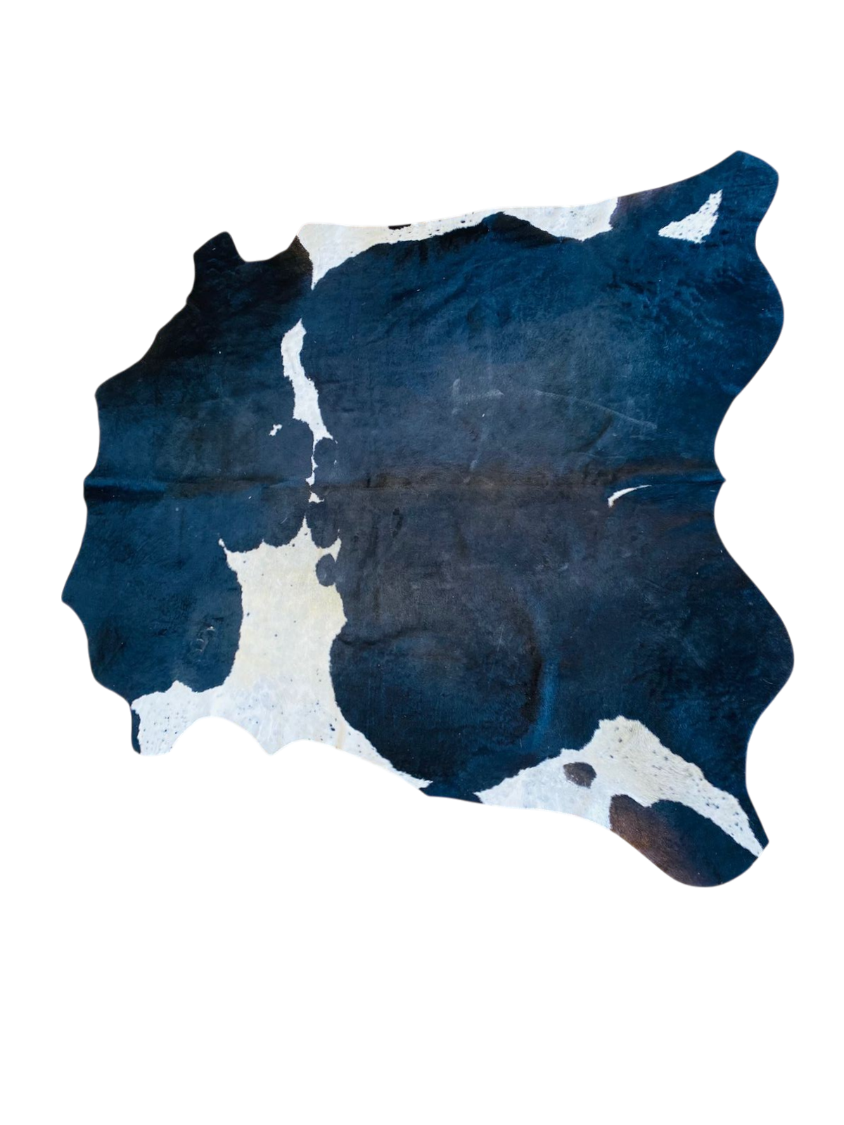 Nguni Black and White Cow Hide Rug the hide shop