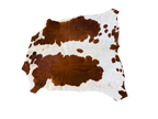 Nguni Brown and White Cow Hide Rug 2,10 X 1,65m - TSH10113