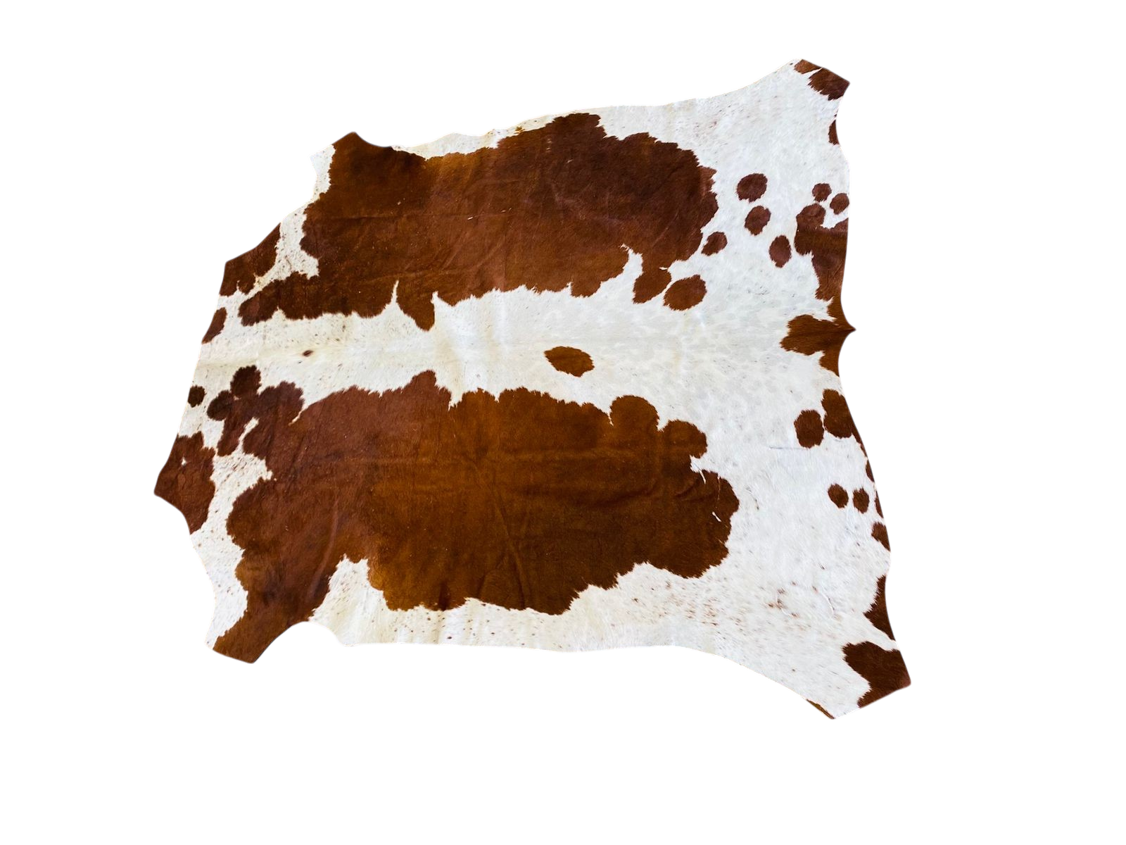 Nguni Brown and White Cow Hide Rug 2,10 X 1,65m - TSH10113