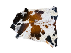 Nguni Brown and white Cow Hide Rug 2m X 167 m- TSH10118