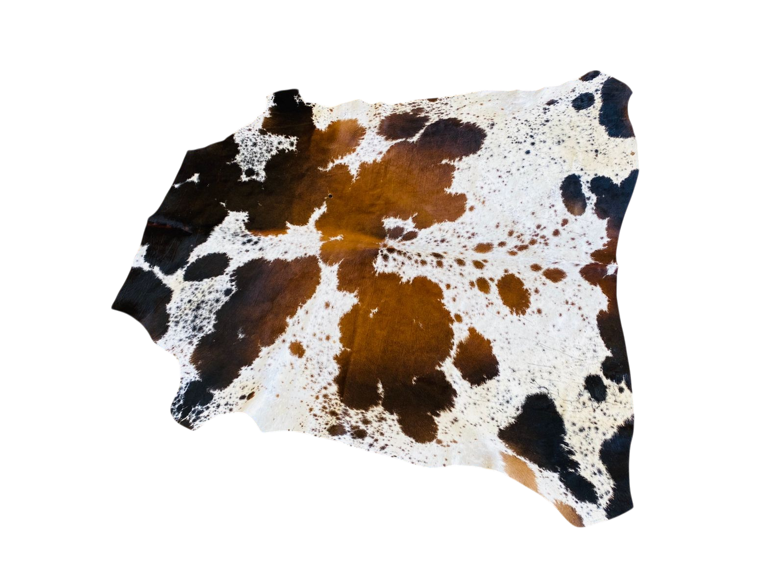 Nguni Brown and white Cow Hide Rug 2m X 167 m- TSH10118
