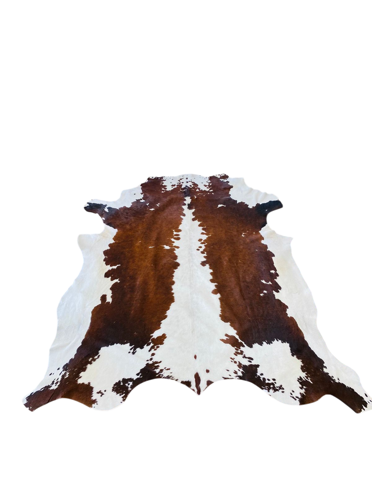 NGUNI CHOC BROWN AND WHITE COWHIDE RUG 2.20 x 1.70 AAS 772