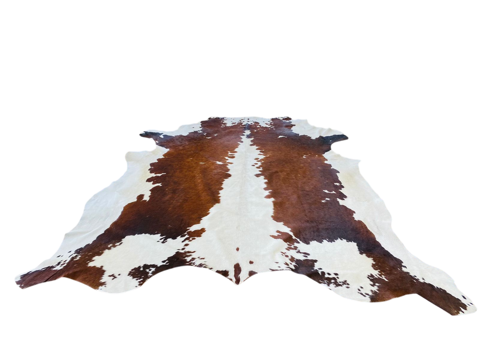 NGUNI CHOC BROWN AND WHITE COWHIDE RUG 2.20 x 1.70 AAS 772