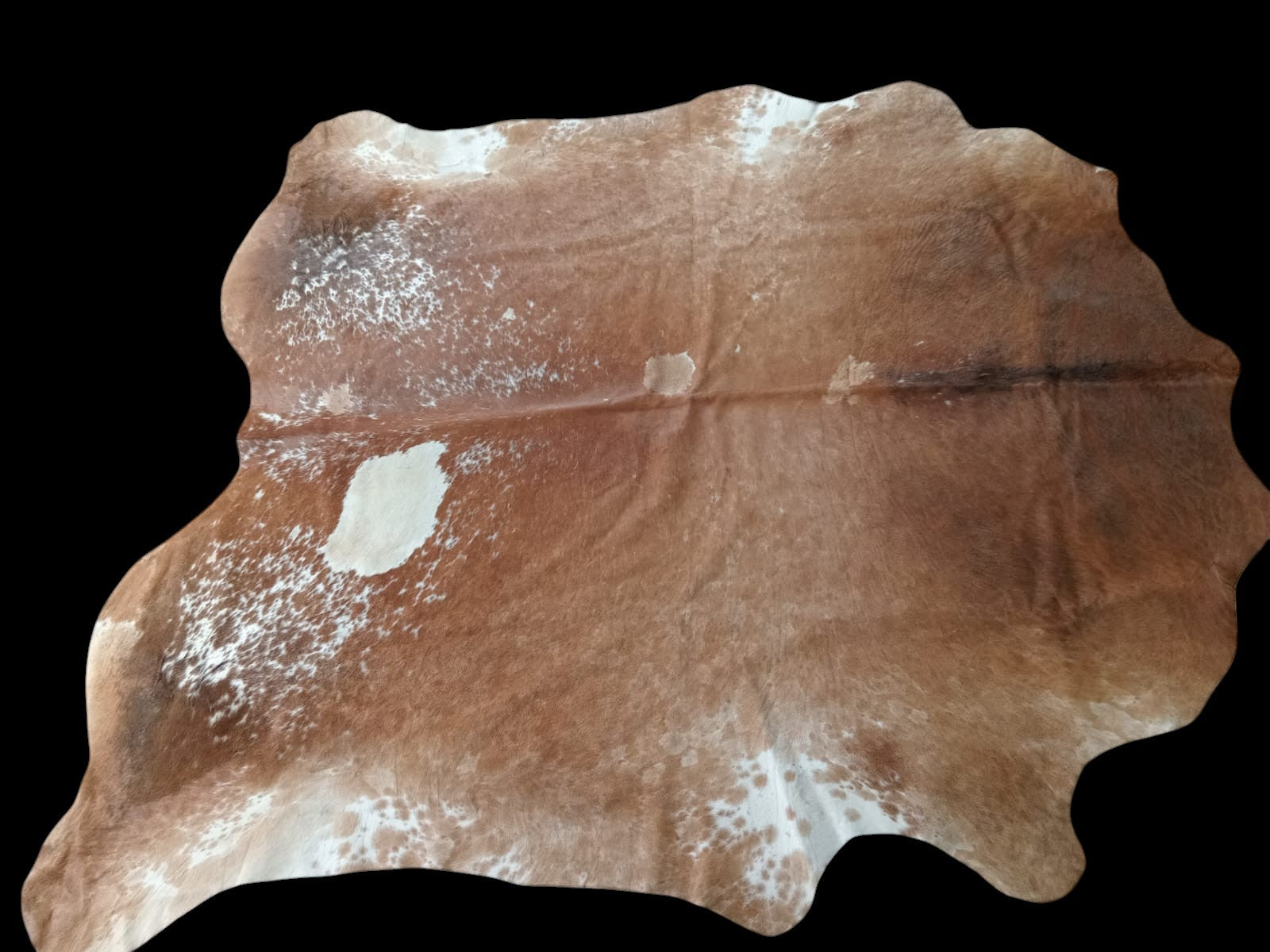 Nguni Light Brown & White AAS 7983 2,3m x 2.1m