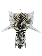Zebra skin rug 