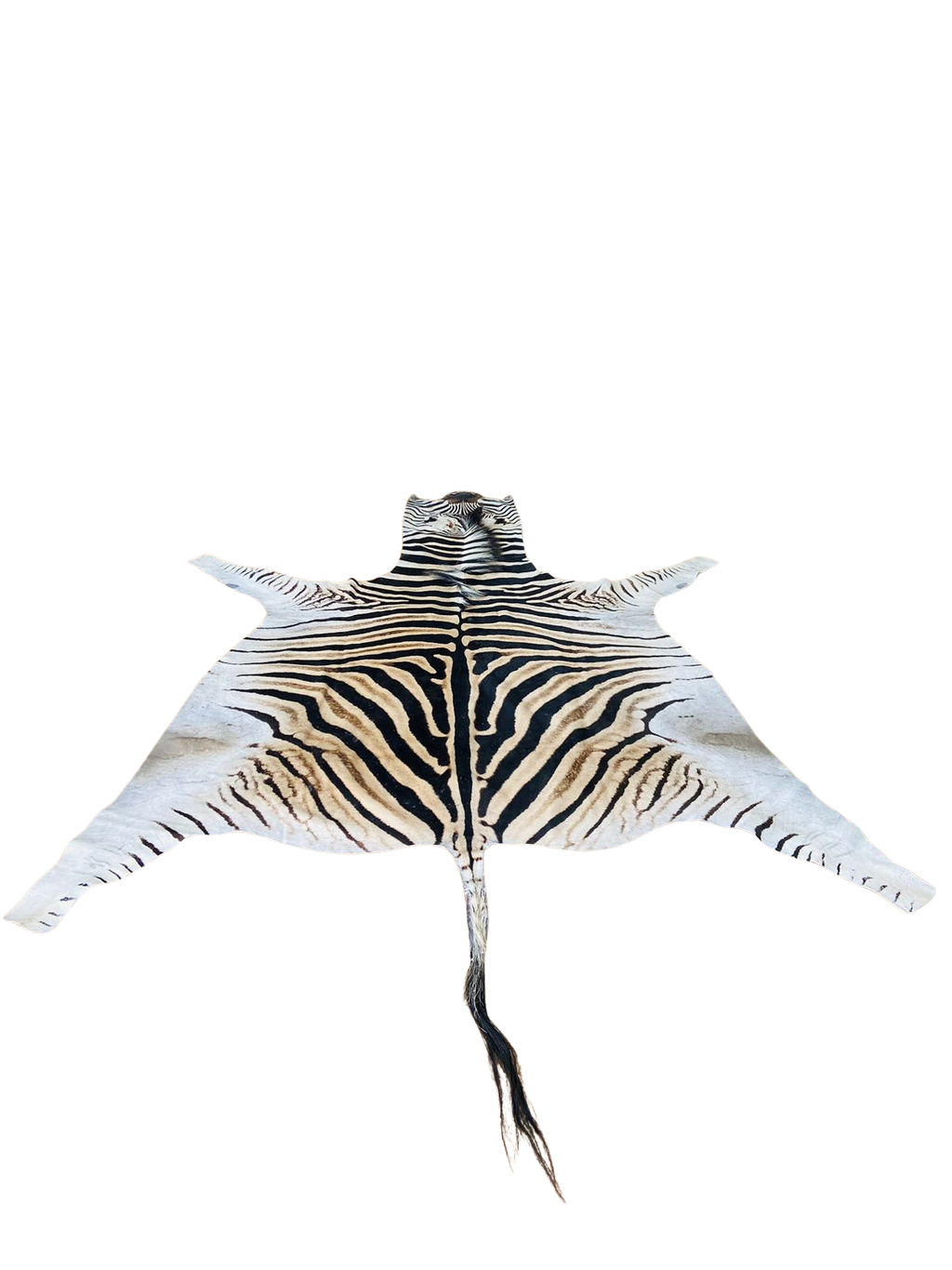 Zebra skin rug 