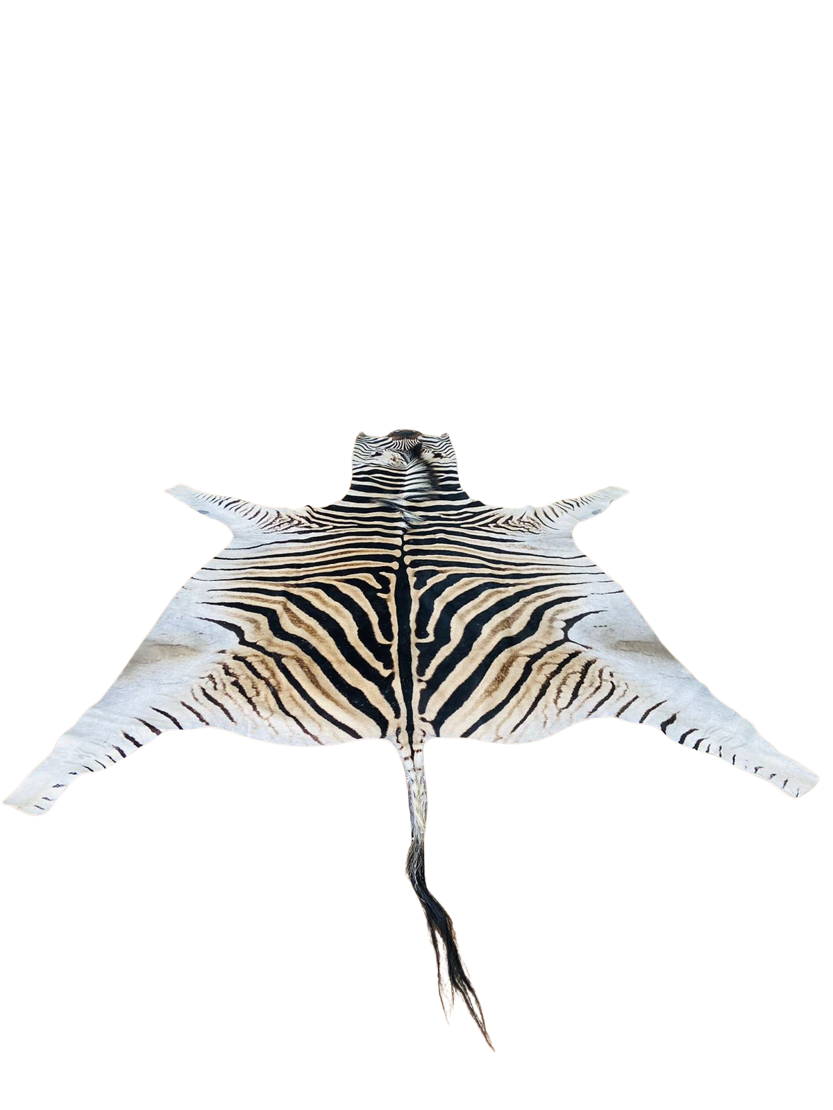 Zebra skin rug 