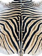 Close-up of a zebra skin pattern with black and beige stripes.